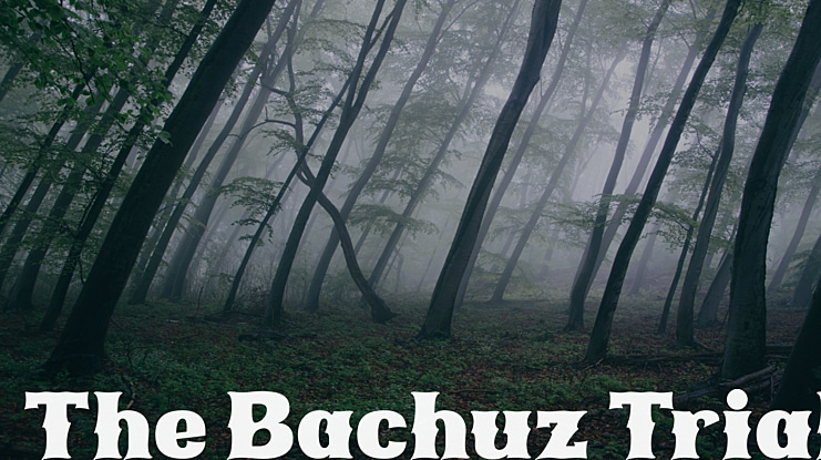 The Bachuz Trial Font