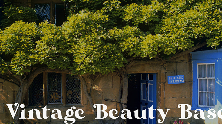 Vintage Beauty Base Font