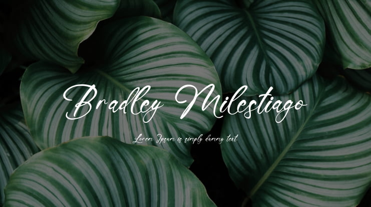 Bradley Milestiago Font