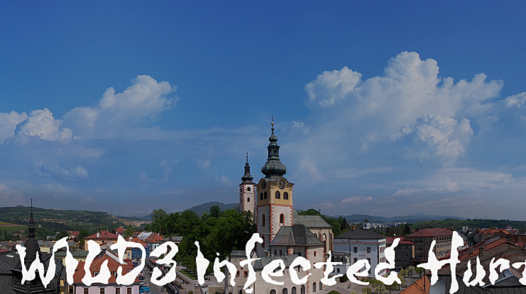 WILD3 Infected Hurt Font Family