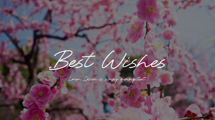 Best Wishes Font