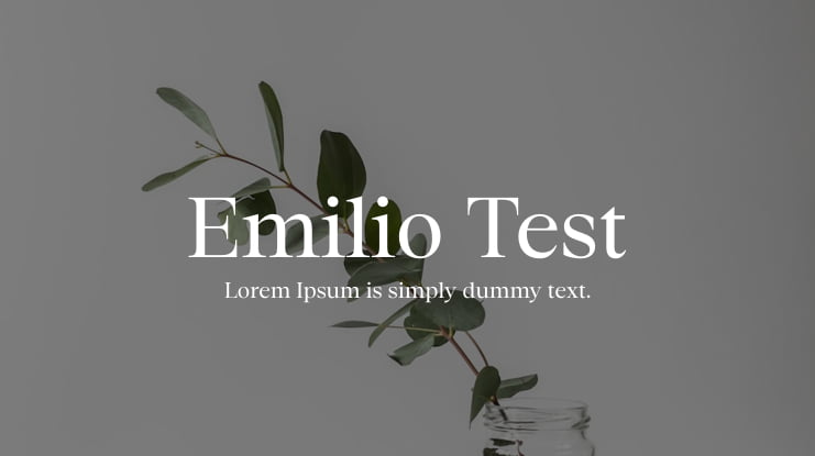 Emilio Test Font Family : Download Free for Desktop & Webfont