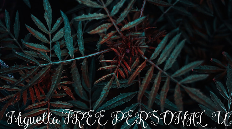 Miguella FREE PERSONAL US Font