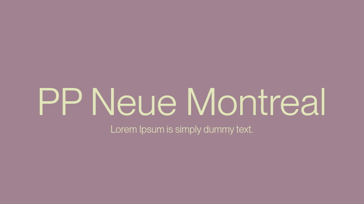 PP Neue Montreal Font Family
