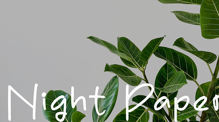Night Paper Font