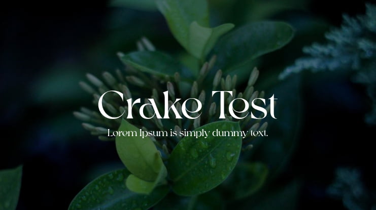 Crake Test Font Family
