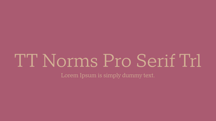 TT Norms Pro Serif Trl Font Family