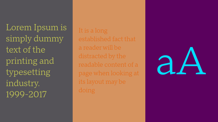 TT Norms Pro Serif Trl Font Family