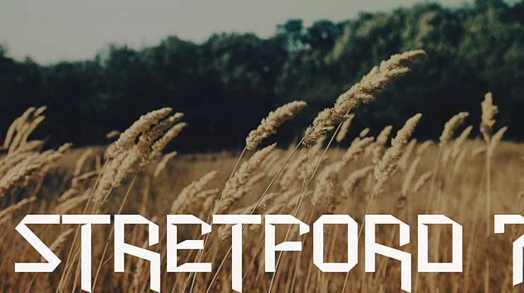 Stretford 7 Font Family