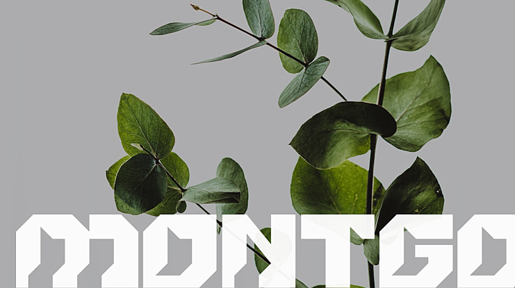 MONTGO Font