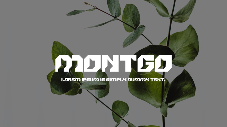 MONTGO Font