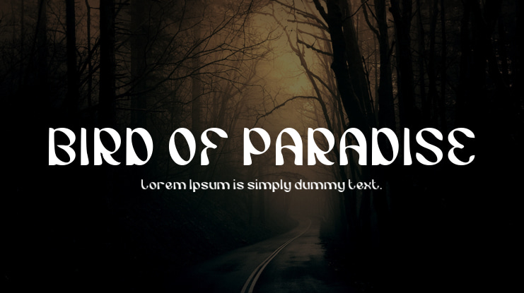 BIRD OF PARADISE Font