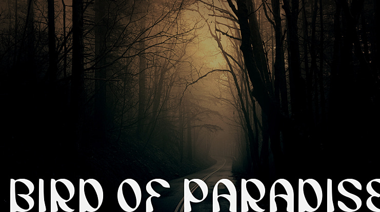 BIRD OF PARADISE Font