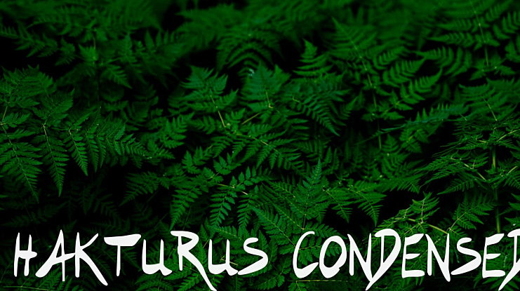 Hakturus Condensed Font Family
