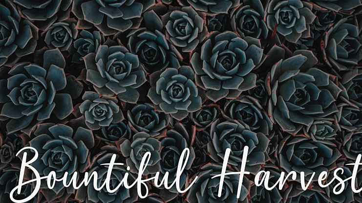 Bountiful Harvest Font