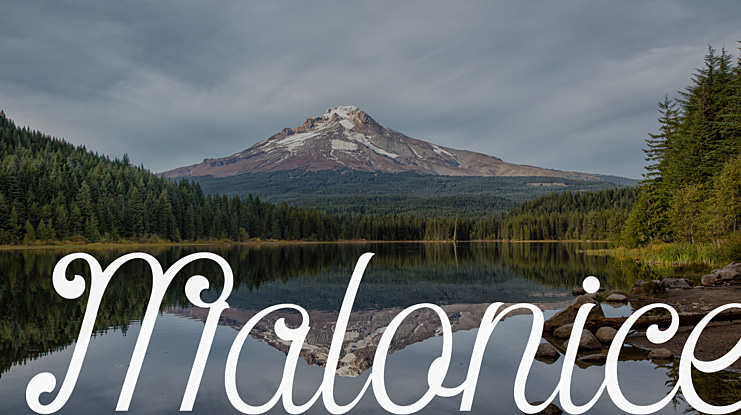 Malonice Font
