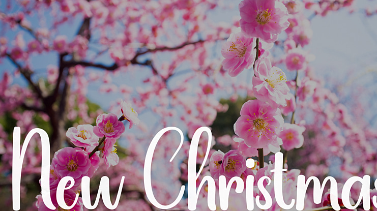New Christmas Font