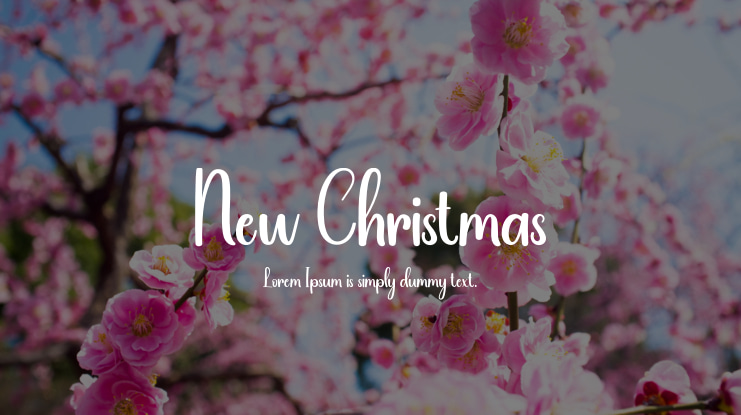 New Christmas Font