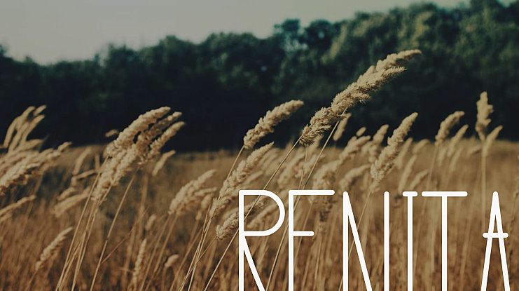 RENITA Font Family