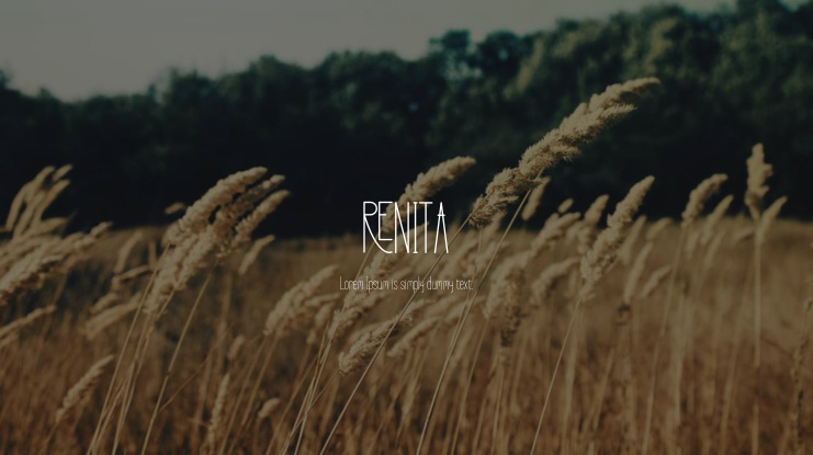 RENITA Font Family