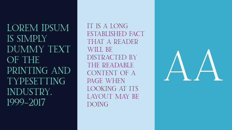 Twice Writing Serif Font