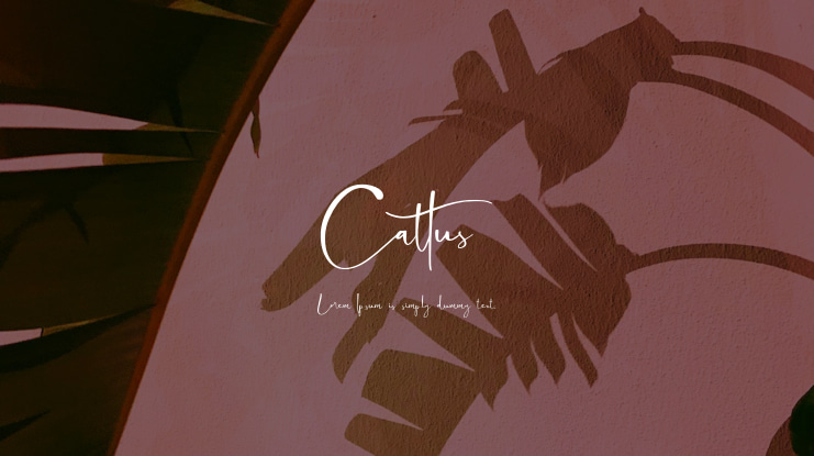 Cattus Font