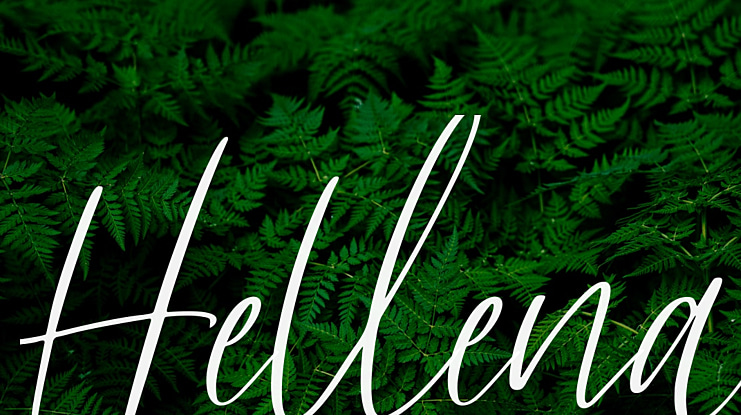 Hellena Font