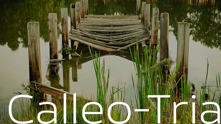 Calleo-Trial Font Family