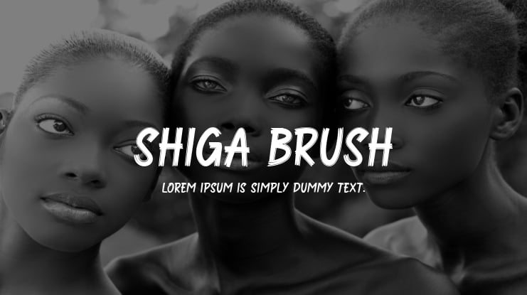 Shiga Brush Font