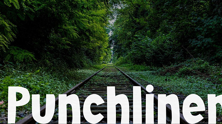 Punchliner Font