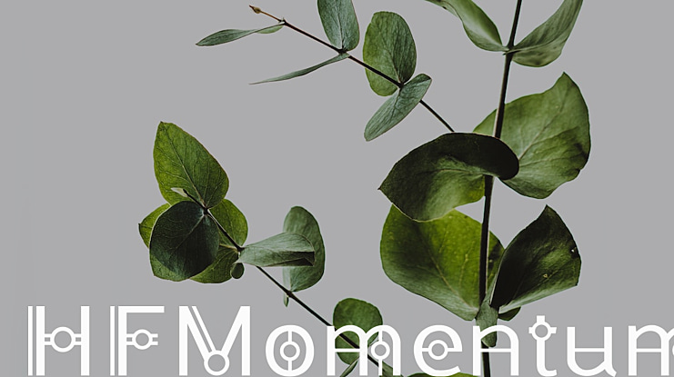 HFMomentum Font