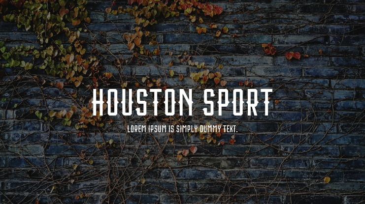 Houston Sport Font Family