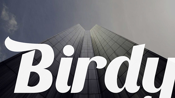 Birdy Font Family