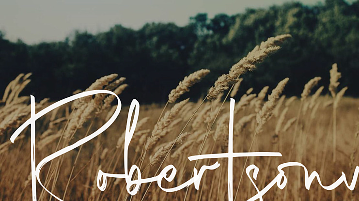Robertsony Font