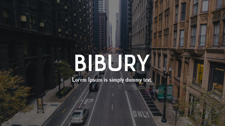 BIBURY Font