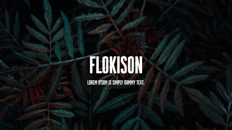 Flokison Font