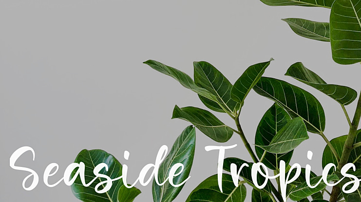 Seaside Tropics Font