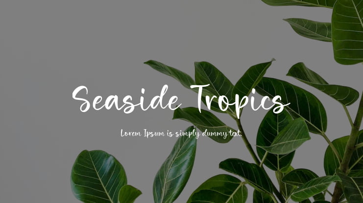 Seaside Tropics Font