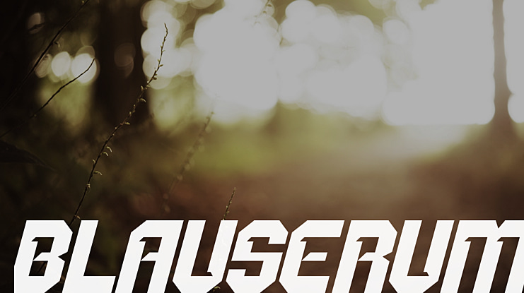 BLAUSERUM Font