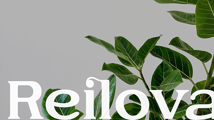 Reilova Font
