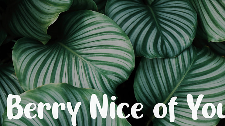 Berry Nice of You Font