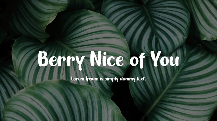 Berry Nice of You Font