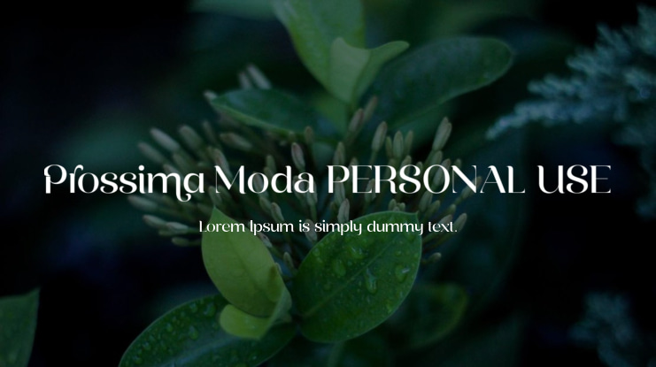 Prossima Moda PERSONAL USE Font Family