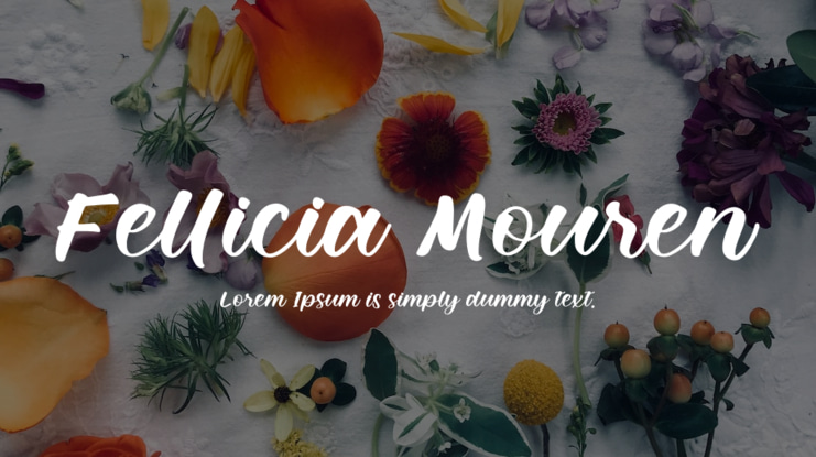 Fellicia Mouren Font
