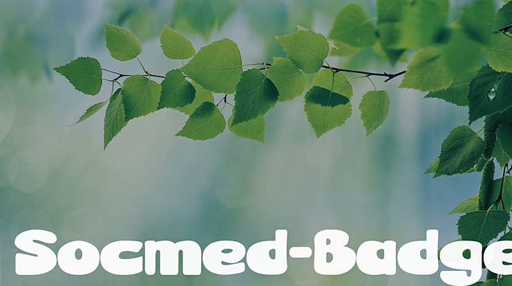 Socmed-Badge Font