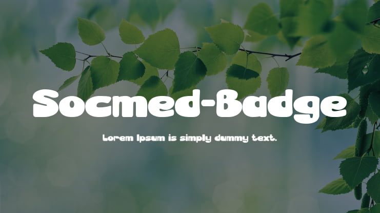 Socmed-Badge Font
