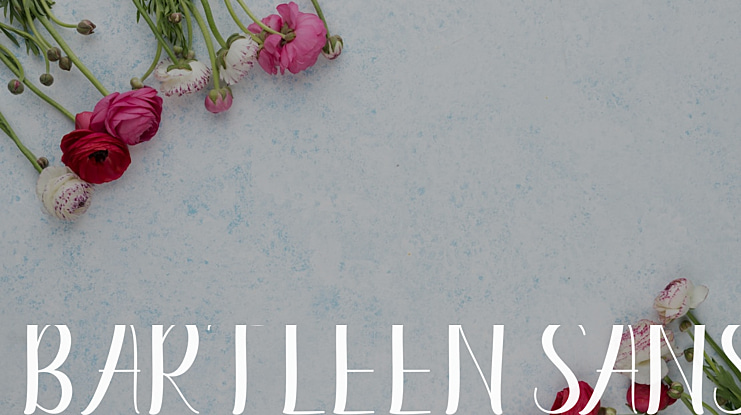 Bartleen Sans Font Family