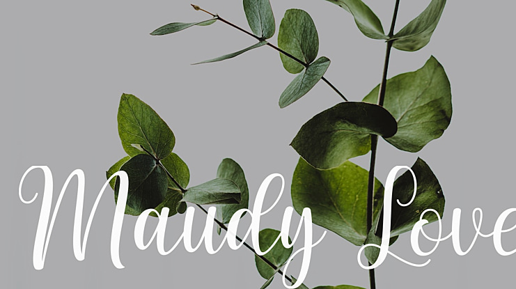 Maudy Love Font