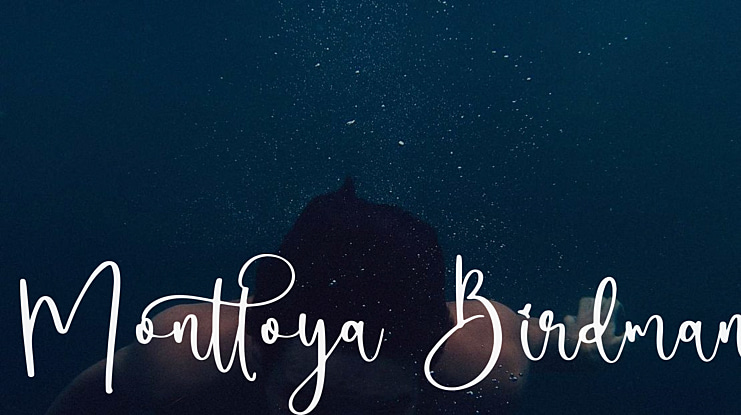 Monttoya Birdman Font