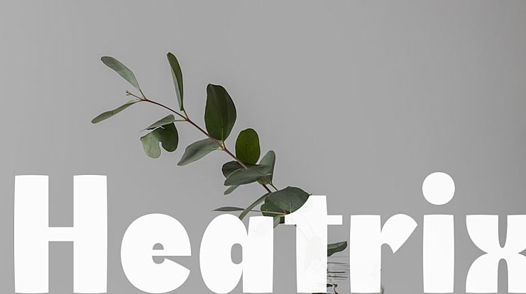 Heatrix Font